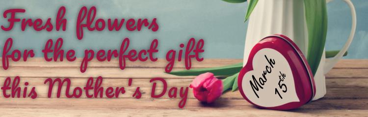 Mother's Day banner