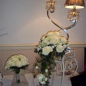 fwthumb100_0782.jpg