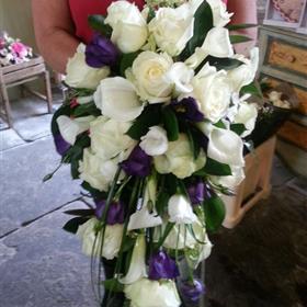 fwthumb20130904_121453.jpg
