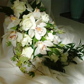 fwthumbCNV00009.jpg