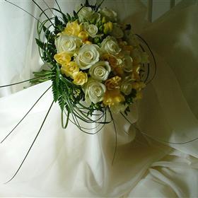 fwthumbCNV00034.jpg