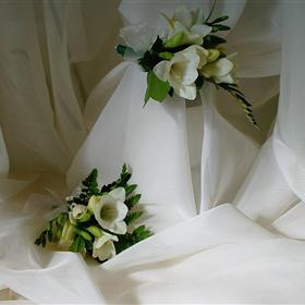 fwthumbCNV00003.jpg