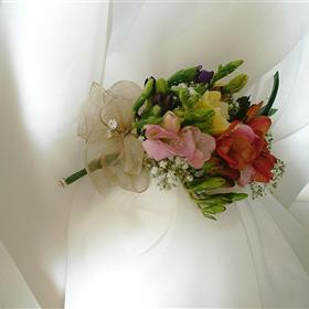 fwthumbCNV00023.jpg