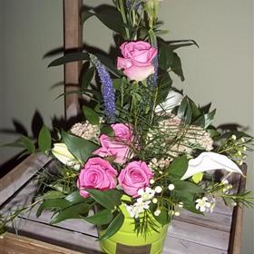 fwthumb100_0669.jpg